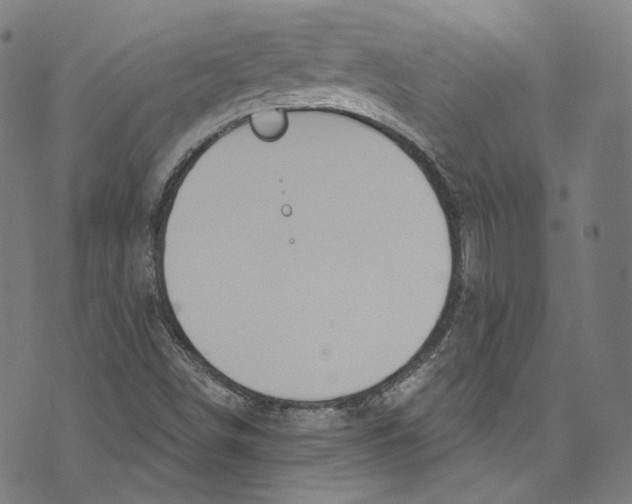 X0000073971498200609181438