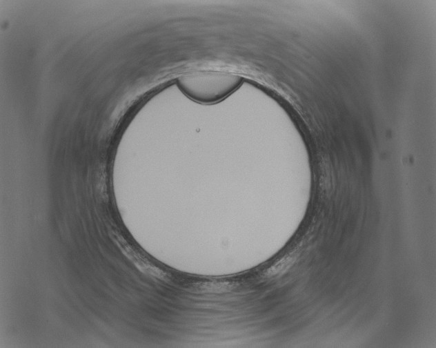 X0000073971499200609181438