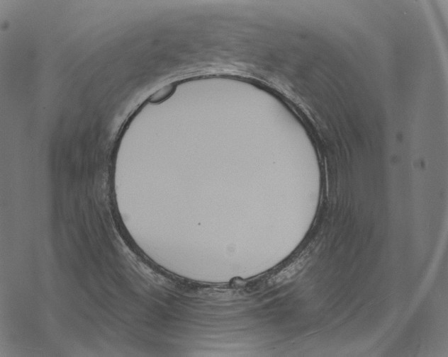 X0000073971500200609181438