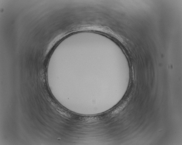 X0000073971501200609181438