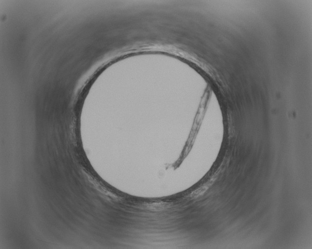 X0000073971502200609181438