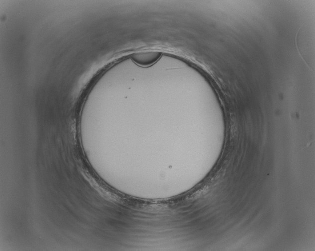 X0000073971503200609181438