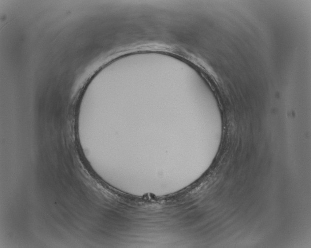 X0000073971504200609181438