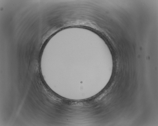 X0000073971505200609181438