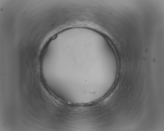 X0000073971506200609181438