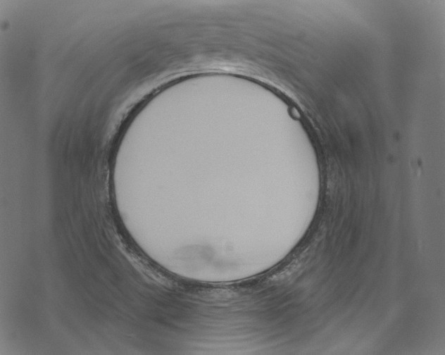 X0000073971507200609181438