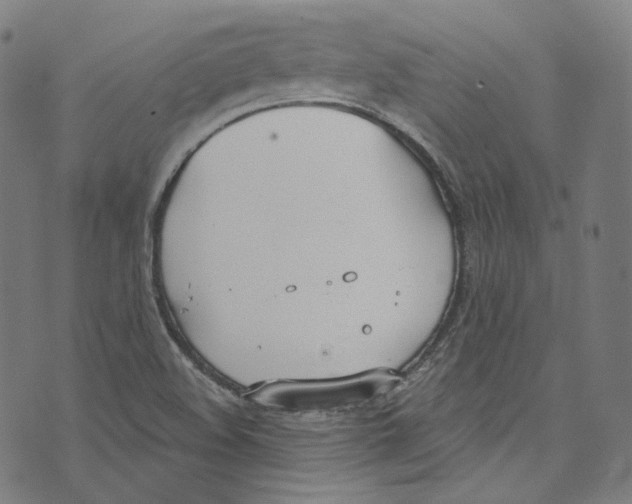 X0000073971508200609181438