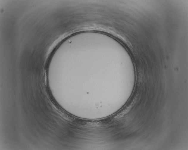 X0000073971509200609181438