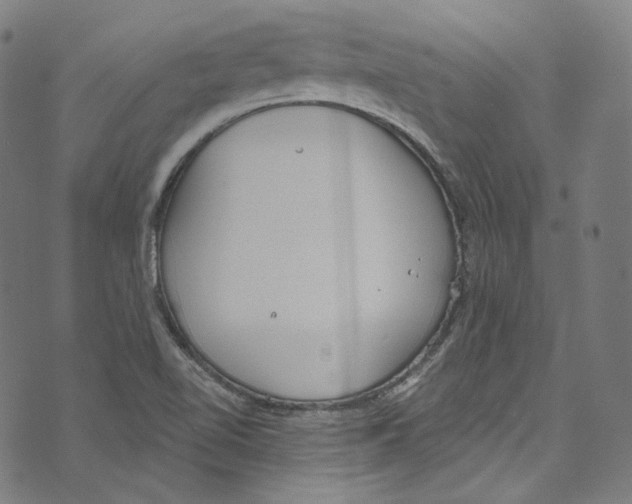 X0000073971510200609181438