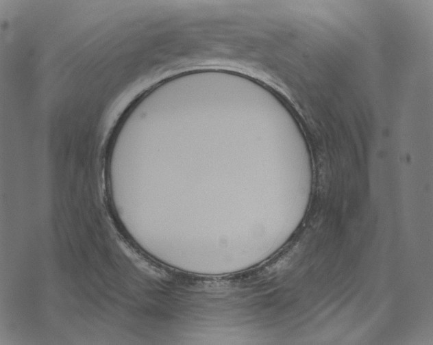 X0000073971511200609181438