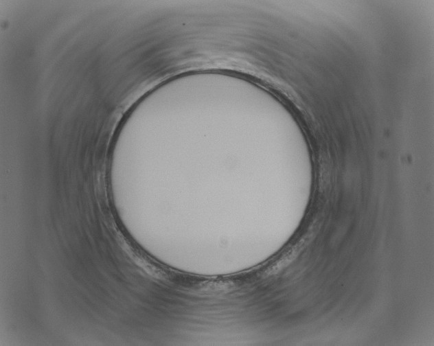 X0000073971513200609181438