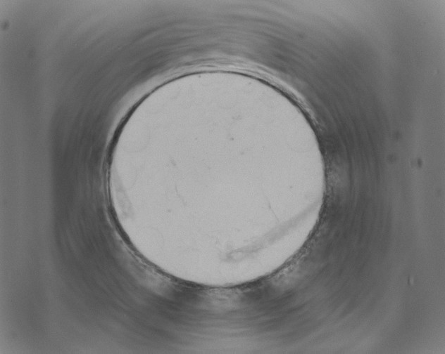 X0000073971514200609181438