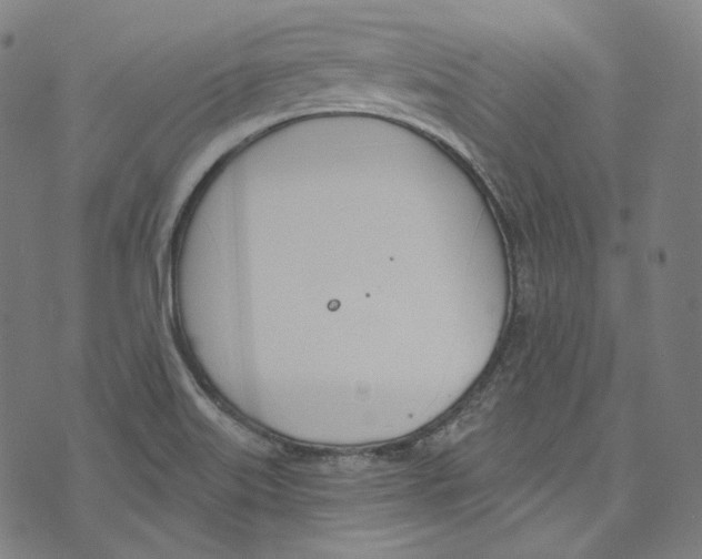 X0000073971515200609181438