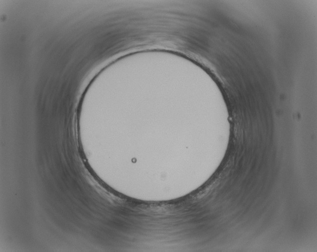 X0000073971516200609181438