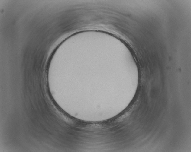 X0000073971517200609181438