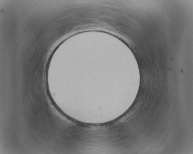 X0000073971518200609181438