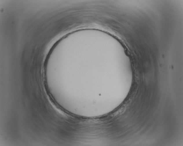 X0000073971519200609181438