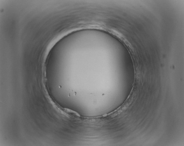 X0000073971520200609181438