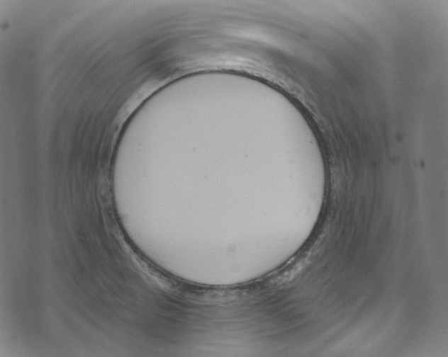 X0000073971521200609181438