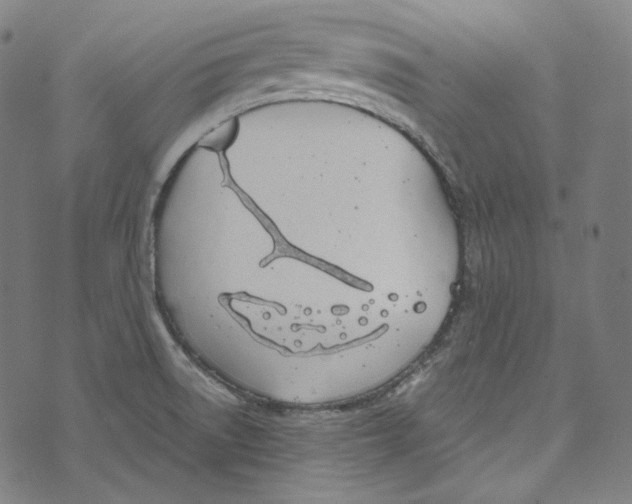 X0000073971522200609181438