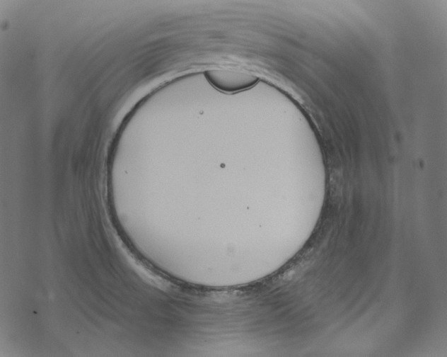 X0000073971523200609181438