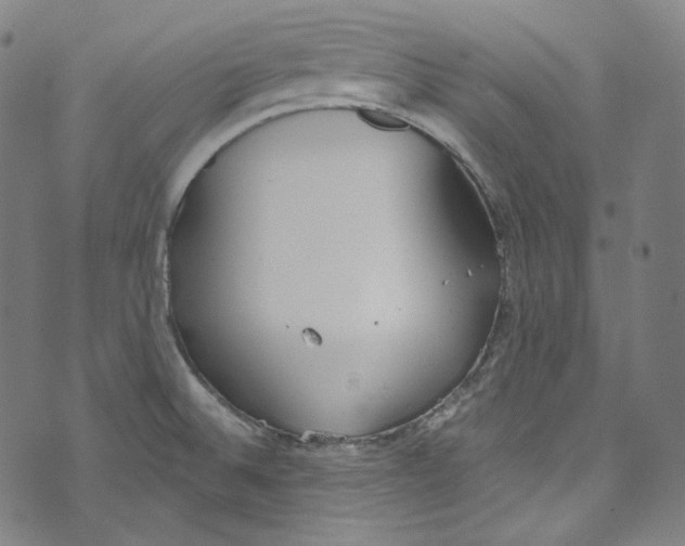 X0000073971524200609181438