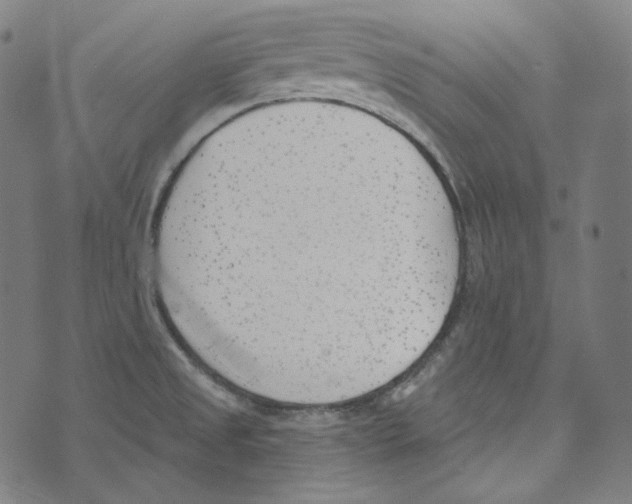 X0000073971525200609181438