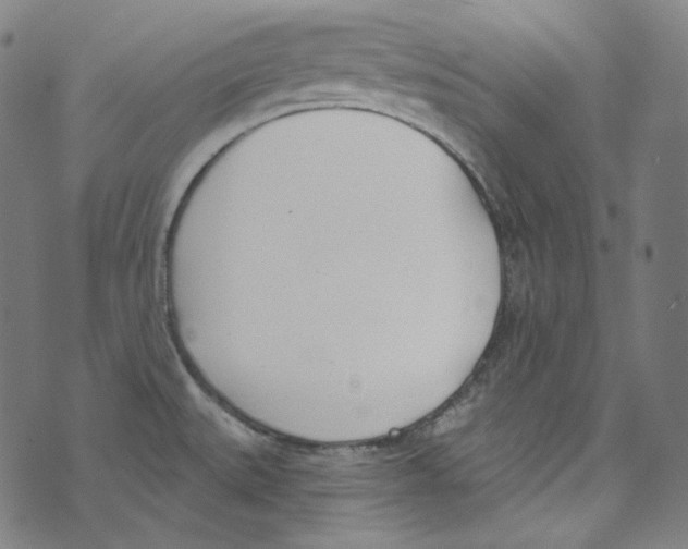 X0000073971527200609181438