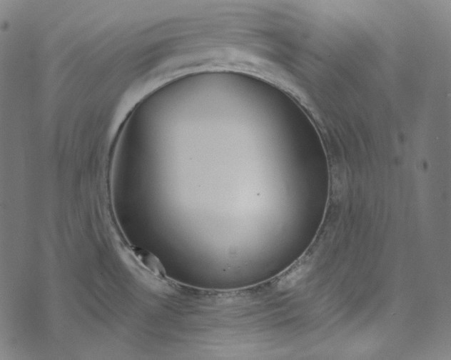 X0000073971530200609181438