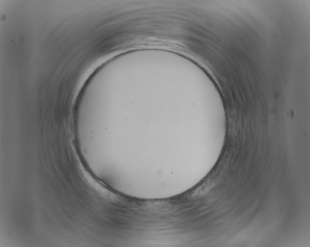 X0000073971531200609181438