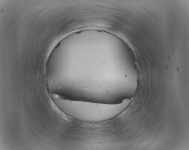 X0000073971532200609181438