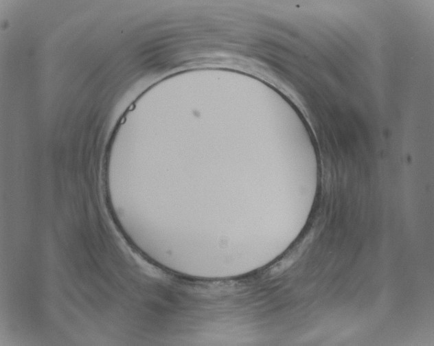 X0000073971533200609181438