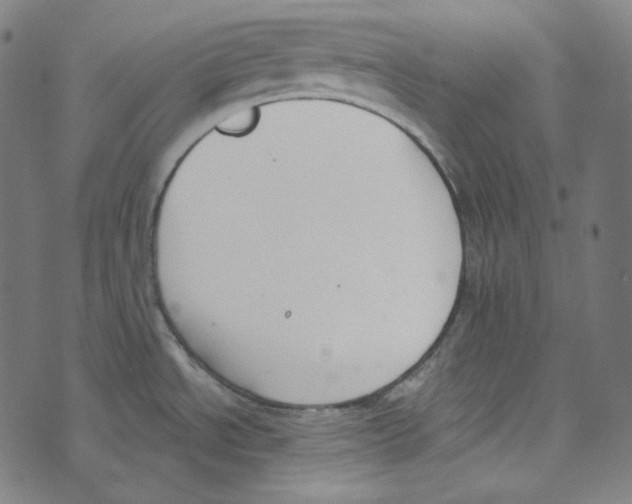 X0000073971534200609181439