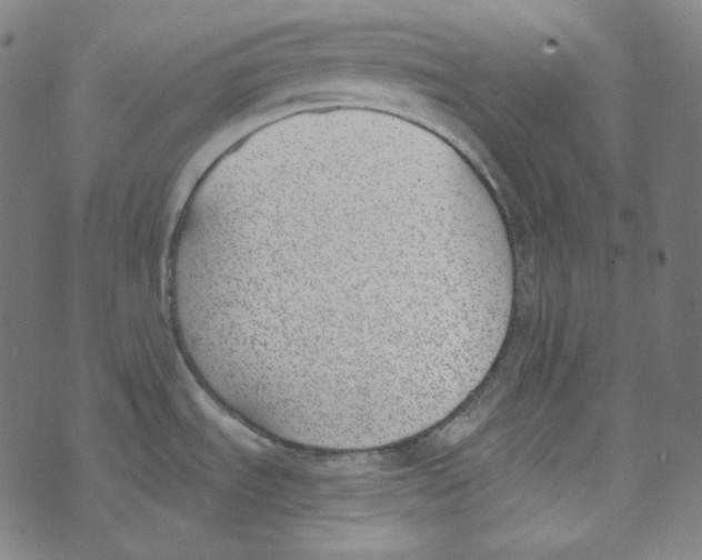 X0000073971535200609181439