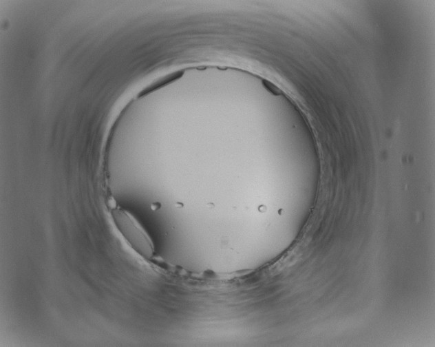 X0000073971536200609181439