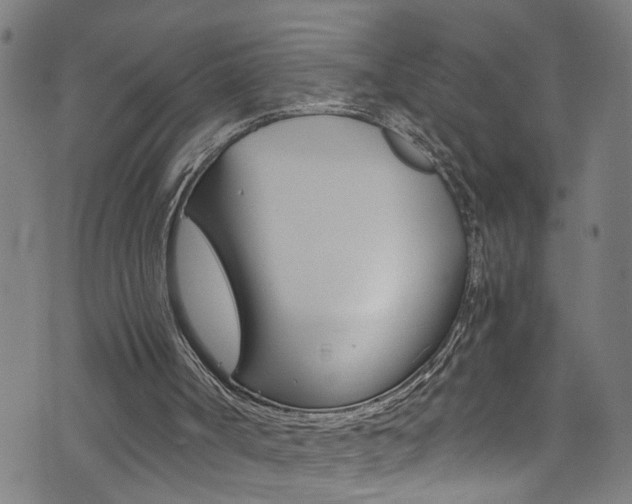 X0000073980002200608211020