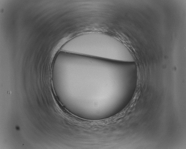 X0000073980003200608211020