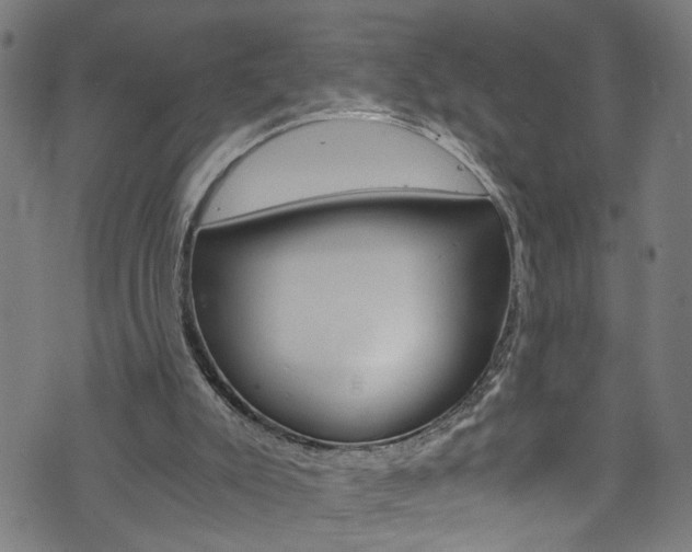 X0000073980007200608211020