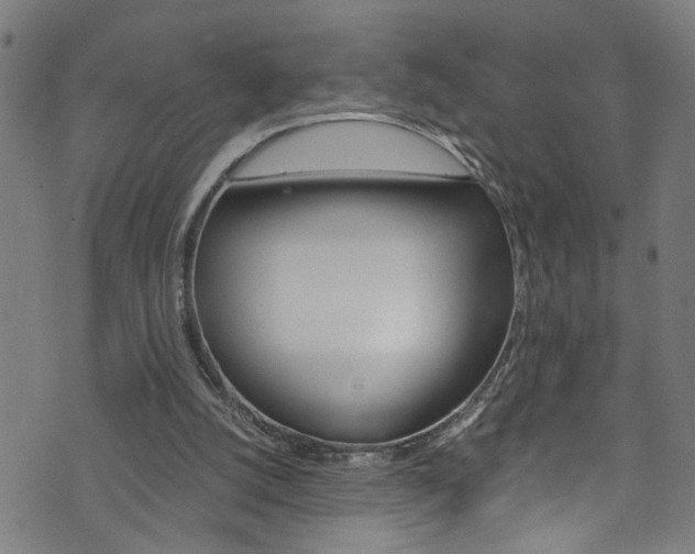 X0000073980056200608211018
