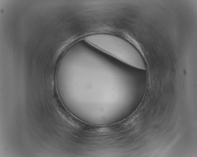 X0000073980059200608211018