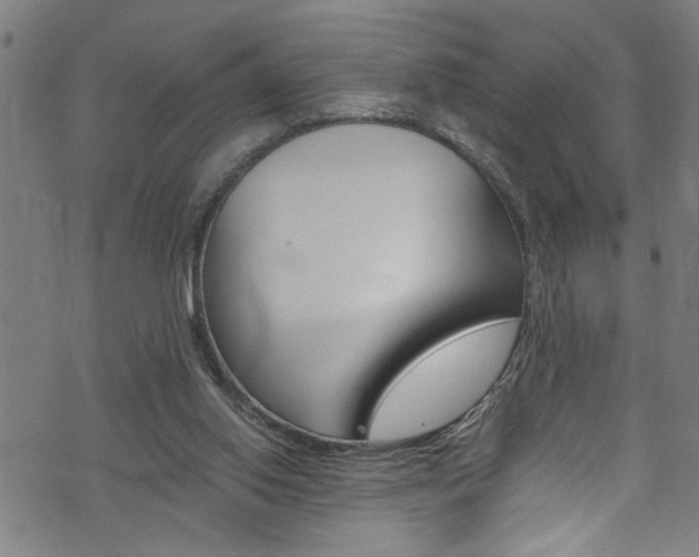 X0000073980062200608211018