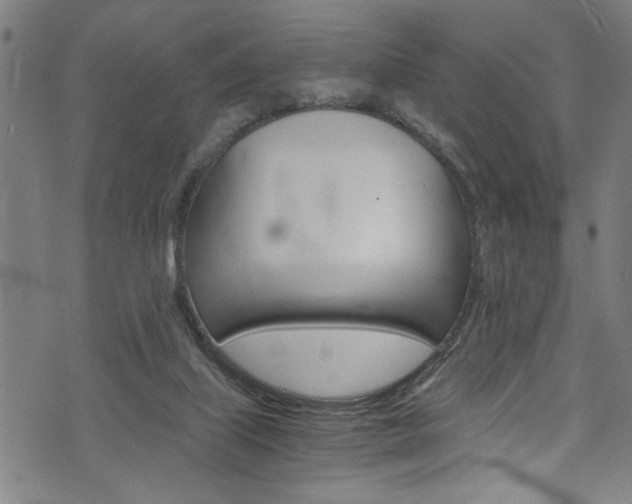 X0000073980067200608211019
