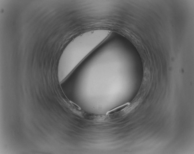 X0000073980096200608211019