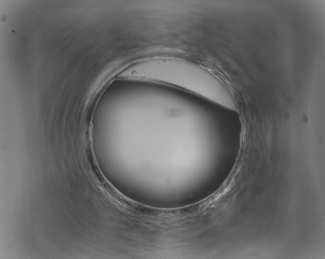 X0000073980101200608211018