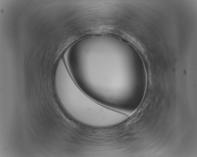 X0000073980105200608211018