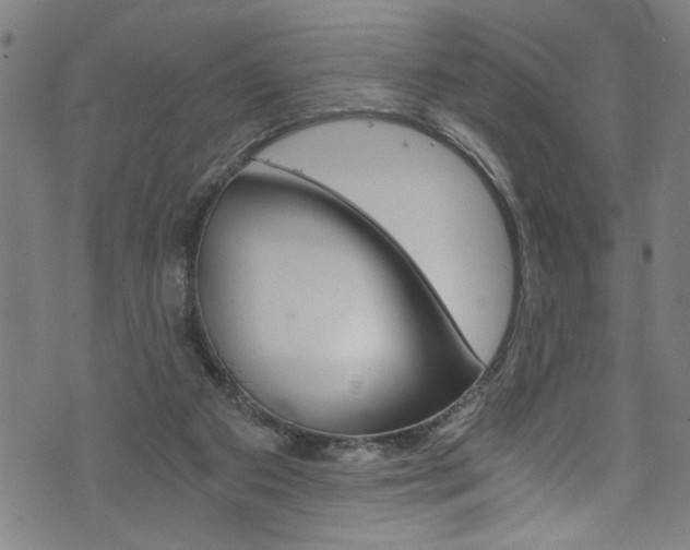 X0000073980113200608211018