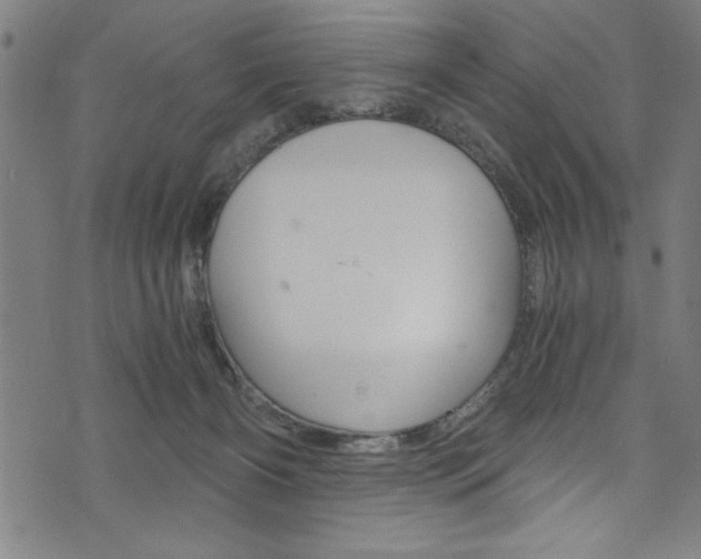 X0000073980126200608211018