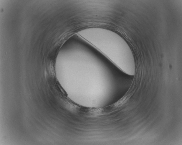 X0000073980143200608211018