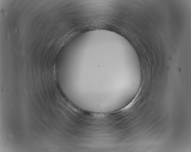 X0000073980144200608211018