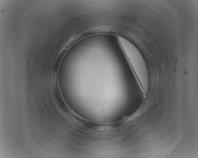 X0000073980168200608211017